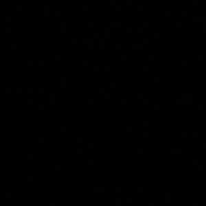 Meet your Posher, Bee